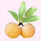 东魁